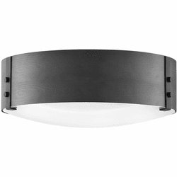 Hinkley 29203BK Sawyer Contemporary Black LED Exterior Ceiling Lighting Fixture