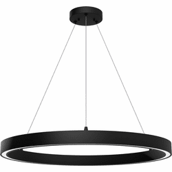 Hunter Lighting 13120 Canoga Modern Matte Black LED Lighting Chandelier