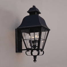 Lighting Innovations BPS9820 Outdoor 7.3" Wide x 17" Tall Wall Light Fixture