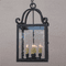 Lighting Innovations H1337 Exterior 7.3" Wide x 15.8" Tall Pendant Light - alt