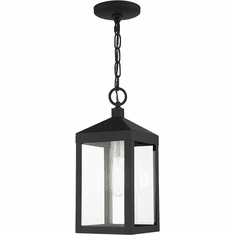 Livex 20591-04 Nyack Black with Brushed Nickel Cluster Outdoor Pendant Light