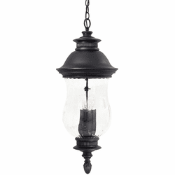 Minka Lavery 8904-94 Newport Traditional Heritage Outdoor Pendant Lighting Fixture