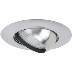 Nora NT-28N Modern Natural Metal 6 Inch Eyeball w/ Metal Can Lightt Trim