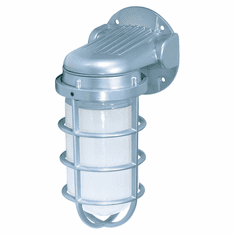 Nuvo 76620 Industrial Style Small Metallic Silver 9 Inch Tall Outdoor Wall Light