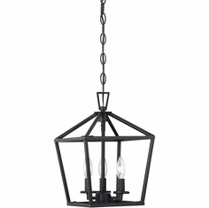 Savoy House 3-420-3-89 Townsend Matte Black 10" Entryway Light Fixture