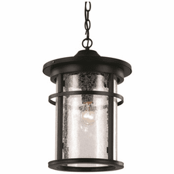 Trans Globe 40385 Avalon Exterior 9" Hanging Lamp
