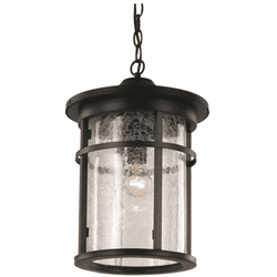 Trans Globe 40386 Avalon Outdoor 11" Hanging Light