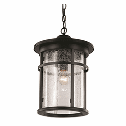 Trans Globe 40386 BK Avalon Black Exterior 11" Hanging Light Fixture