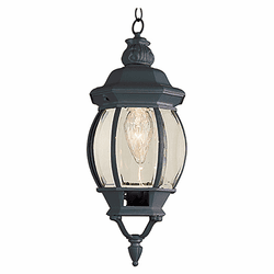 Trans Globe 4065 BK Parsons Black Outdoor 6.5" Pendant Lighting Fixture