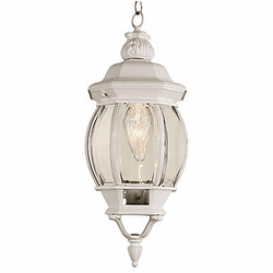 Trans Globe 4065 WH Parsons Traditional White Exterior Pendant Hanging Light