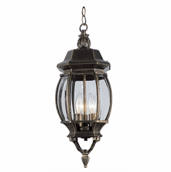 Trans Globe 4066 BG Parsons Traditional Black Gold Exterior Drop Ceiling Light Fixture