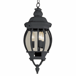 Trans Globe 4066 BK Parsons Black Outdoor 7.5" Hanging Light