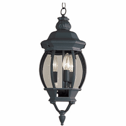 Trans Globe 4066 Parsons Traditional Exterior 7.5" Hanging Light Fixture