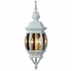 Trans Globe 4066 WH Parsons Traditional White Outdoor Drop Ceiling Light Fixture