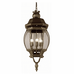 Trans Globe 4067 BG Parsons Black Gold Outdoor Pendant Lighting