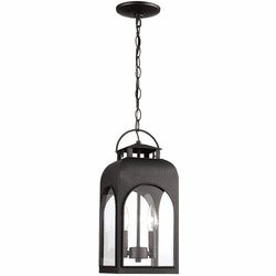 Trans Globe 51283 BK Presence Black Outdoor Hanging Lamp