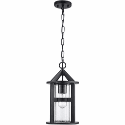 Trans Globe 51684 BK Prado Contemporary Black Exterior Hanging Light