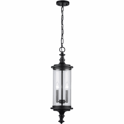 Trans Globe 51704 BK PathLume Black Outdoor Hanging Pendant Light