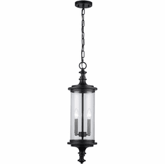 Trans Globe 51704 BK PathLume Black Outdoor Hanging Pendant Light