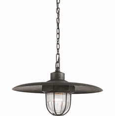 Troy F3897-APW Acme Vintage Solid Aluminum Lighting Pendant