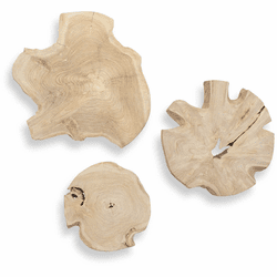 Uttermost 04392 Kalani Modern Light / Bleached Wall Dcor