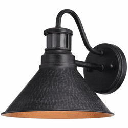 Vaxcel T0669 Outland Aged Iron and Light Gold 10" Dusk To Dawn Motion Sensor Outdoor Wall Mounted Lamp