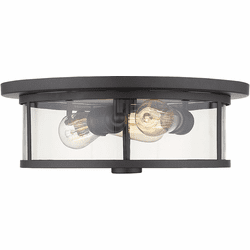 Z-Lite 462F16-BRZ Savannah Contemporary Bronze 16" Overhead Light Fixture