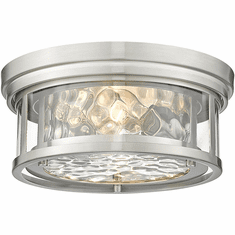 Z-Lite 493F2-BN Clarion Contemporary Brushed Nickel 12" Overhead Light Fixture