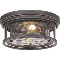 Z-Lite 493F2-BRZ Clarion Contemporary Bronze 12" Ceiling Light Fixture
