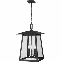 Z-Lite 5015CHXL-BK Rainer Black Outdoor Pendant Lighting Fixture