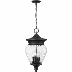 Z-Lite 5016CHB-BK Davina Black Outdoor Pendant Lighting Fixture