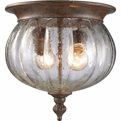 Z-Lite Outdoor Ceiling Lighting