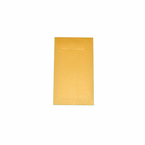 Frame Envelopes #6