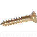 2 X 3/8 OVAL SLOT WS BRASS