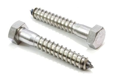 5/16 X 2-1/2 LAG BOLT STAINLESS