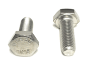 HEX HEAD CAP SCREWS <B/>18-8 STAINLESS STEEL</B> (DIN 931/ 933)