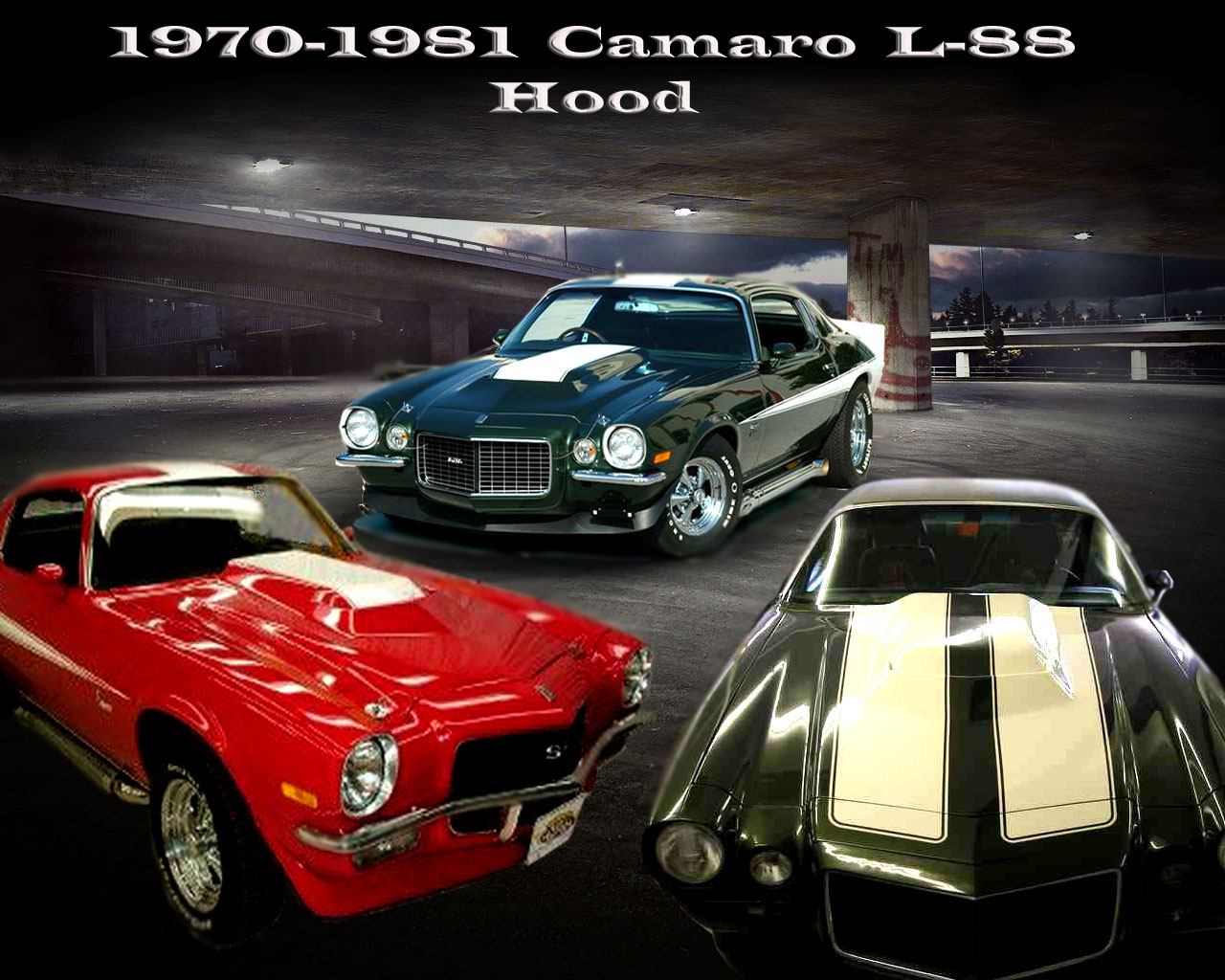 Camaro L88 Hood 1970 1971 1972 1973 1974 1980 1981