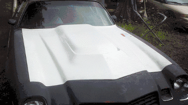 Camaro L88 Hood 1970 1971 1972 1973 1974 1980 1981