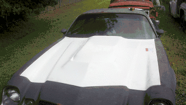 Camaro L88 Hood 1970 1971 1972 1973 1974 1980 1981