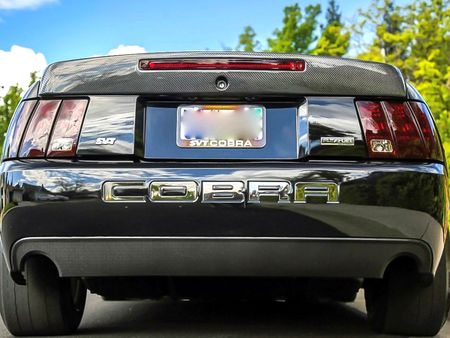 1999-2004 Mustang Carbon Fiber Cobra Style Wing