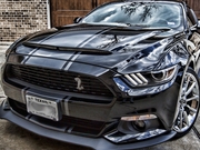 2015-2017 Mustang Hoods