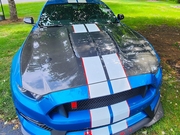 Mustang Hoods