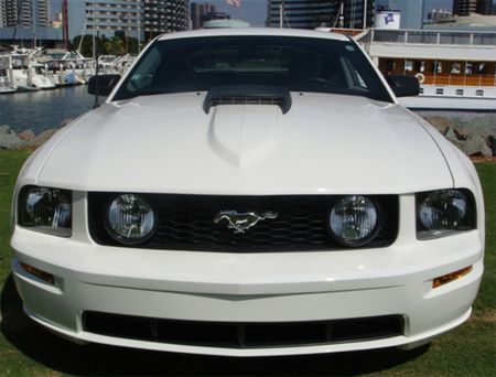 2005-2009 Mustang Fiberglass Trufiber A41 Hood (V6/GT)