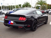 2015-2023 Ford Mustang Custom Lip Spoiler