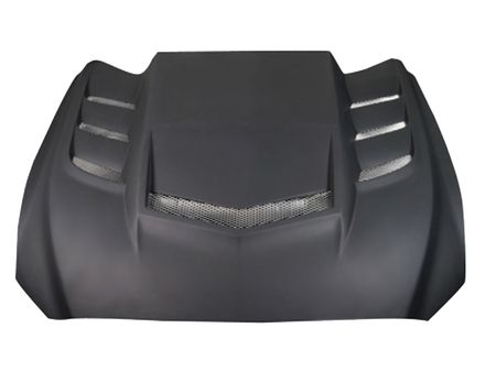 2015-2017 Ford Mustang Interceptor Hood