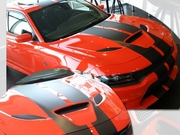 Charger Graphics