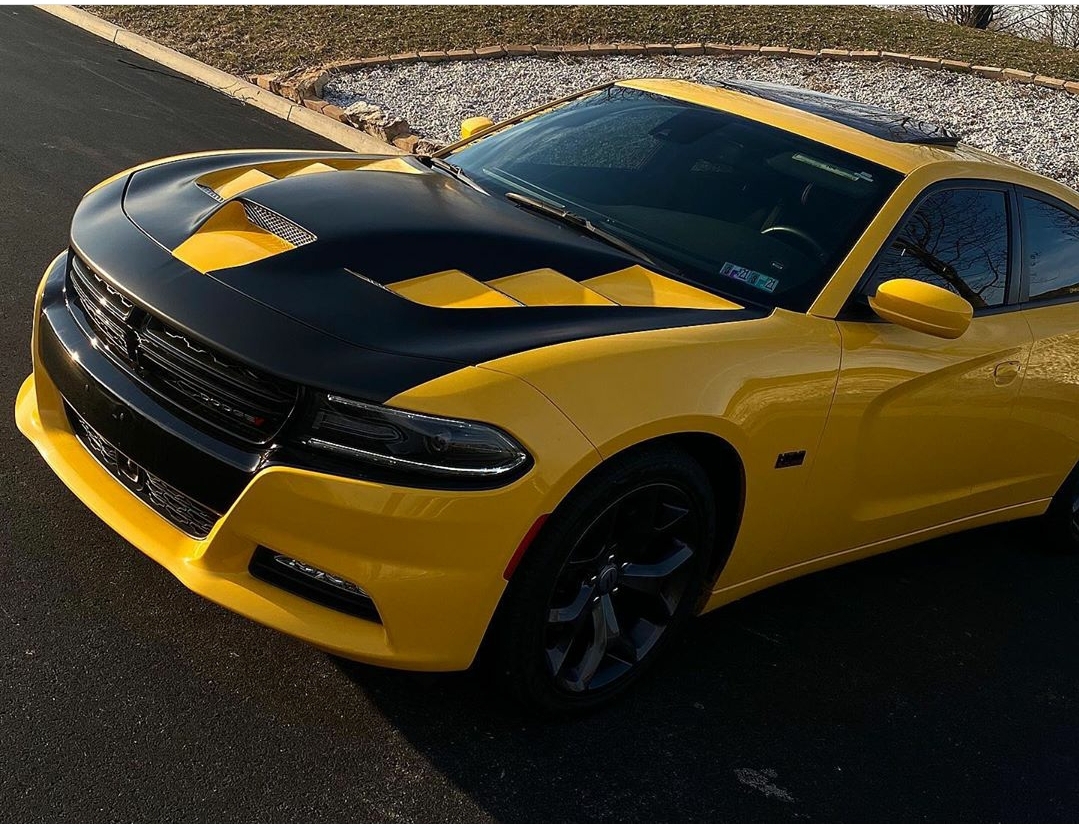 Steel Hood For Dodge Charger 2015-2023 – Evan-Fischer Primed Direct Replacement