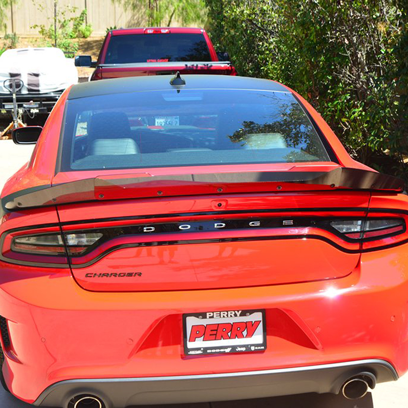 20152022 Dodge Charger SRT Stealth Wicker Bill Carbon Fiber