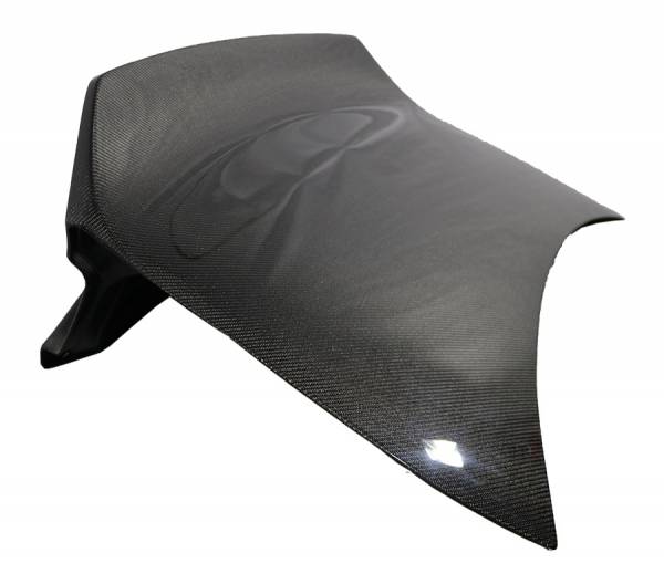 20152023 Dodge Charger Carbon Fiber Trunk Demon Style