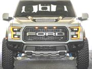 2017-2019 Ford Raptor Ram Air Hood By Rk Sport